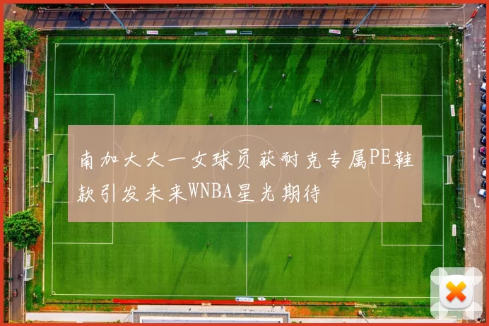 南加大大一女球员获耐克专属PE鞋款引发未来WNBA星光期待